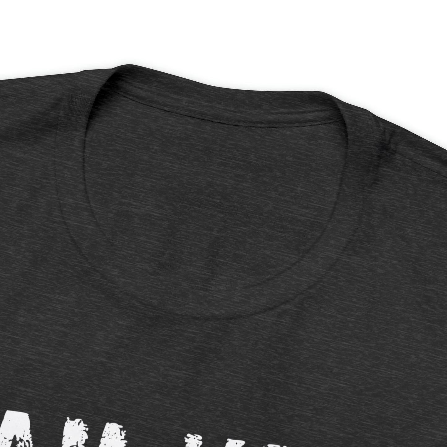 Men's T-Shirt, I Am Very Wisdomous, funny T-shirt, Gift for Dad, Husband Gift, Owl T-Shirt, Father's Day Gift